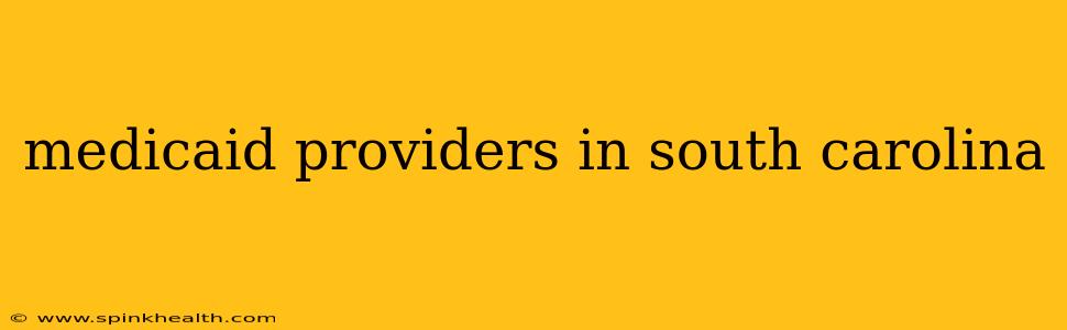 medicaid providers in south carolina