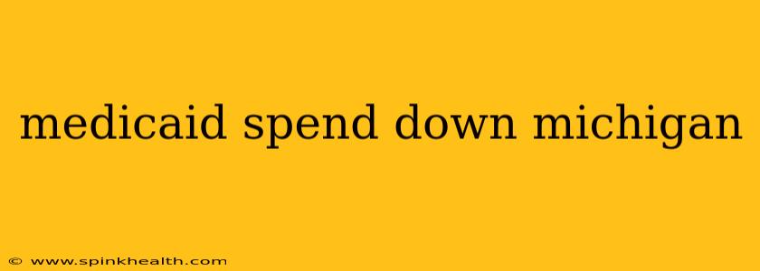 medicaid spend down michigan