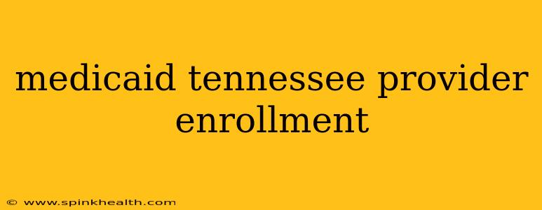 medicaid tennessee provider enrollment
