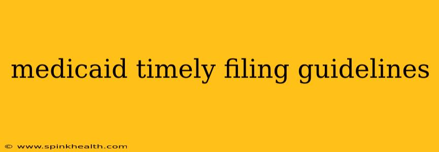 medicaid timely filing guidelines