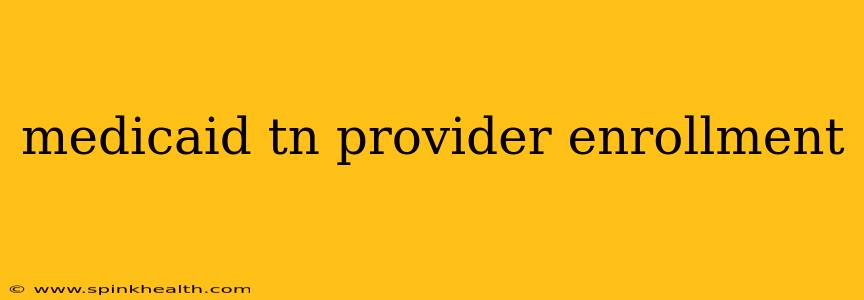 medicaid tn provider enrollment