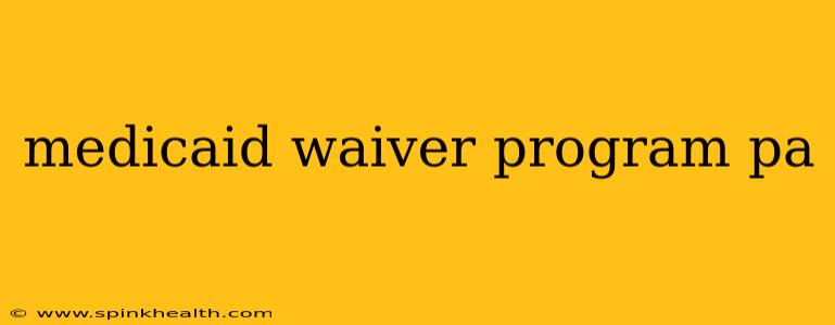 medicaid waiver program pa