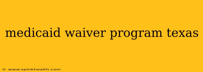 medicaid waiver program texas