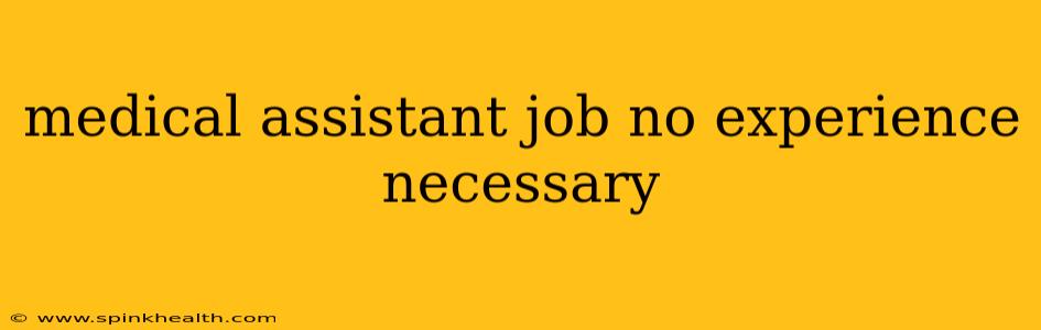 medical assistant job no experience necessary