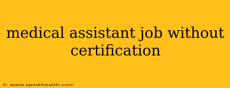 medical assistant job without certification