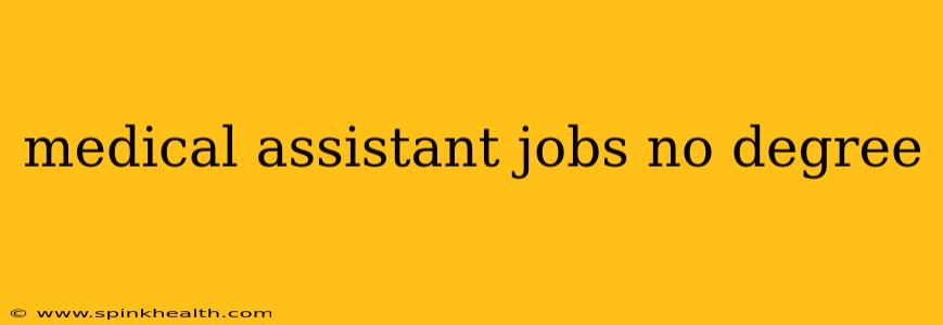 medical assistant jobs no degree
