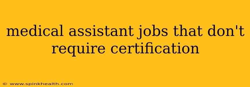 medical assistant jobs that don't require certification