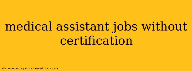 medical assistant jobs without certification