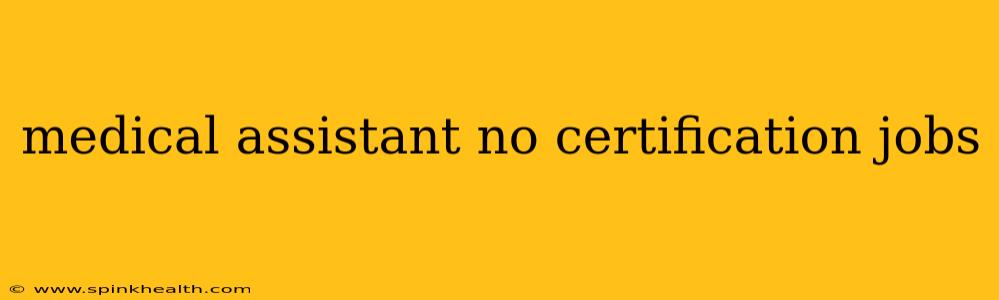 medical assistant no certification jobs