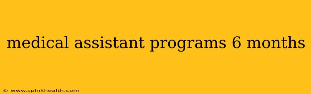medical assistant programs 6 months