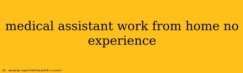 medical assistant work from home no experience