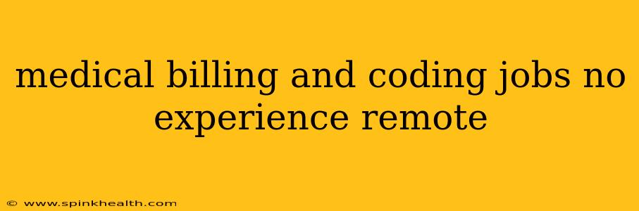 medical billing and coding jobs no experience remote
