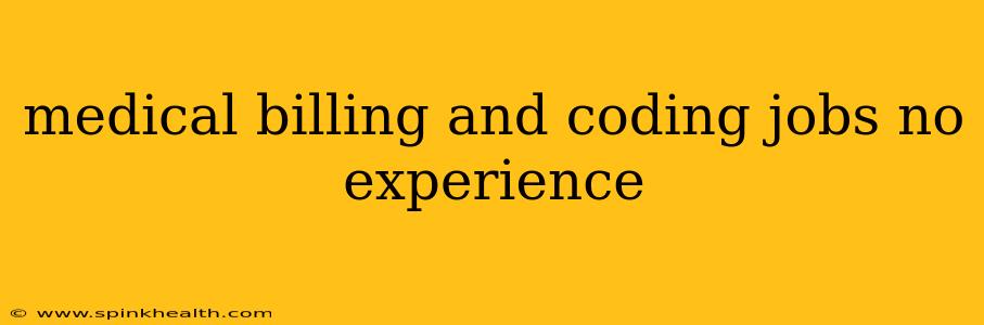 medical billing and coding jobs no experience