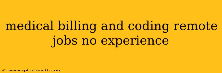 medical billing and coding remote jobs no experience