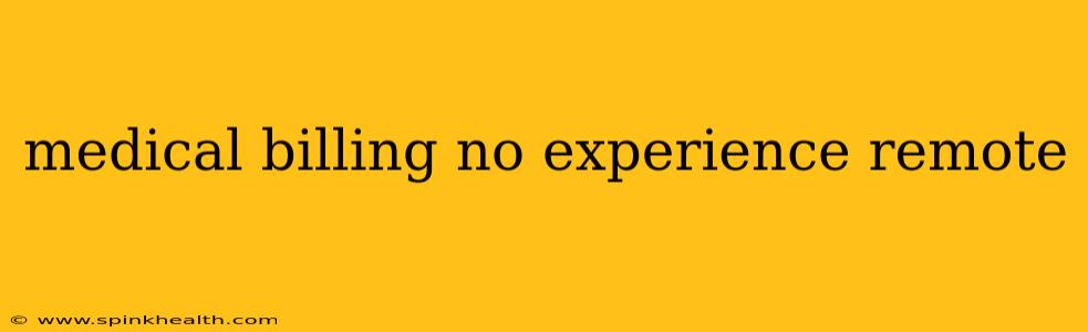 medical billing no experience remote