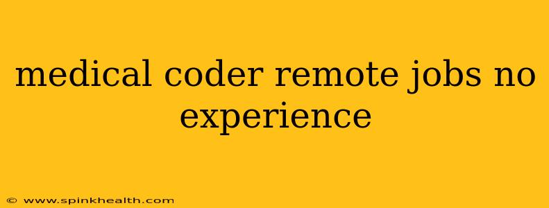 medical coder remote jobs no experience