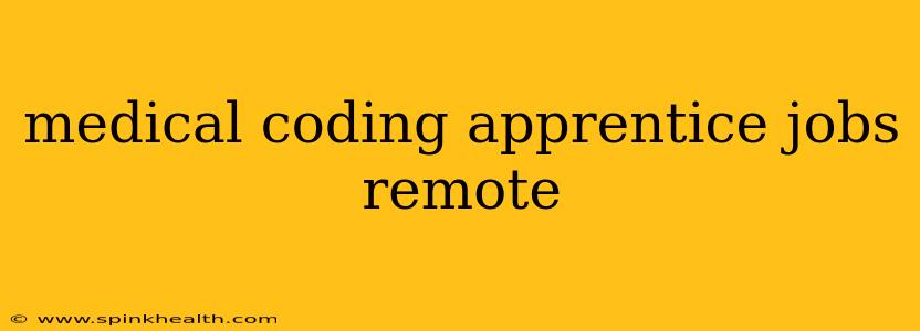 medical coding apprentice jobs remote