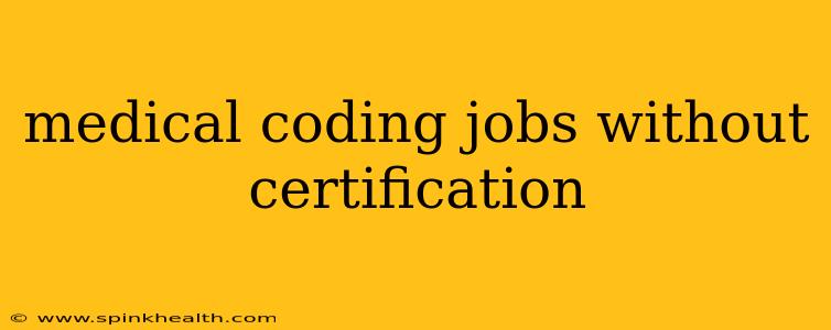 medical coding jobs without certification
