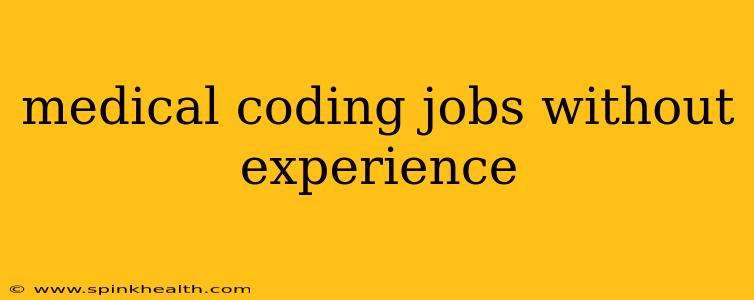 medical coding jobs without experience