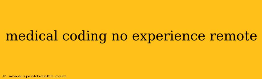 medical coding no experience remote