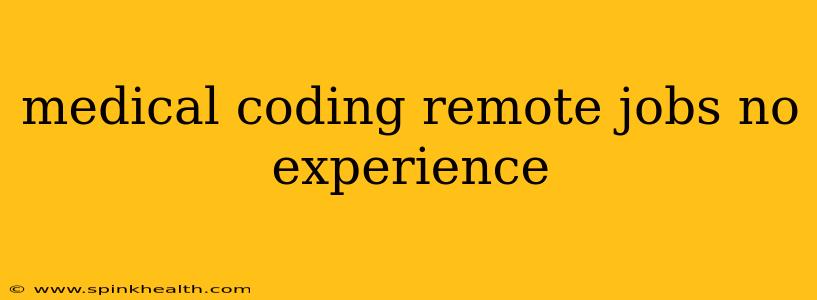 medical coding remote jobs no experience