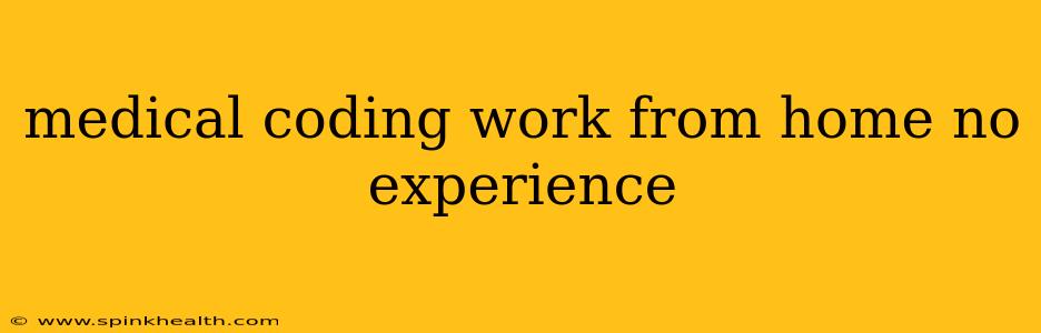 medical coding work from home no experience