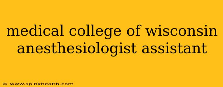 medical college of wisconsin anesthesiologist assistant