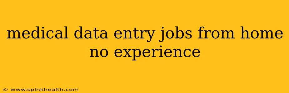 medical data entry jobs from home no experience
