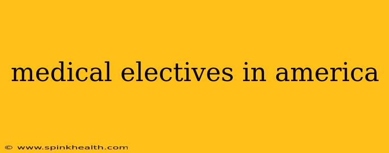 medical electives in america