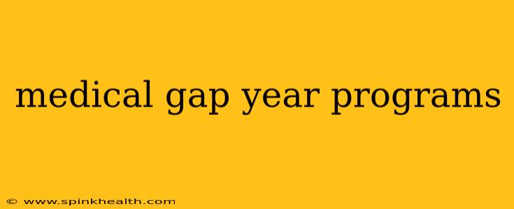 medical gap year programs