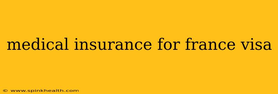 medical insurance for france visa