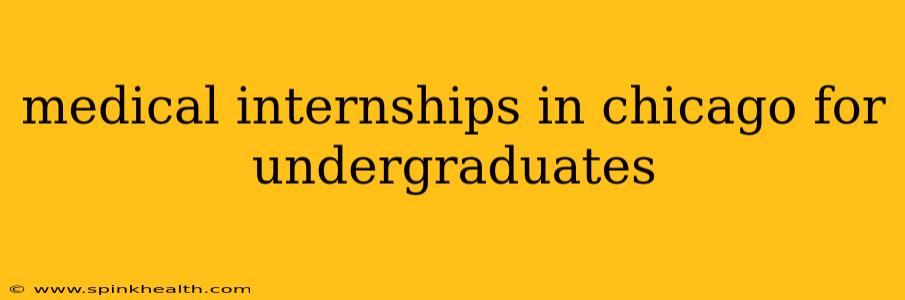 medical internships in chicago for undergraduates