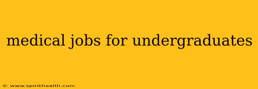 medical jobs for undergraduates
