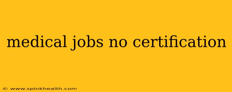 medical jobs no certification