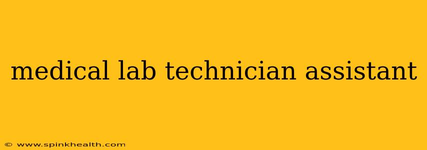 medical lab technician assistant