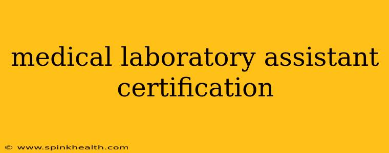 medical laboratory assistant certification