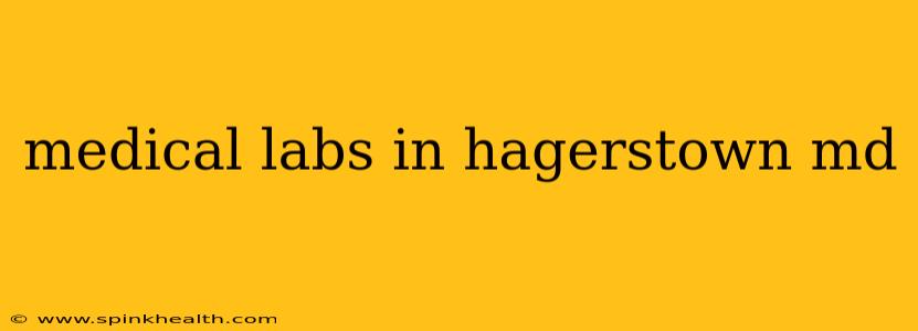 medical labs in hagerstown md