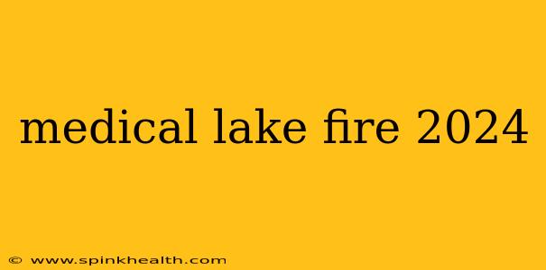 medical lake fire 2024