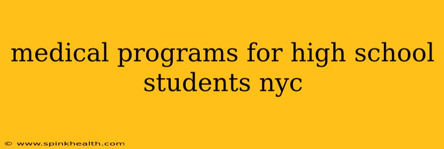 medical programs for high school students nyc