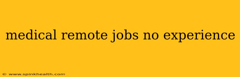 medical remote jobs no experience