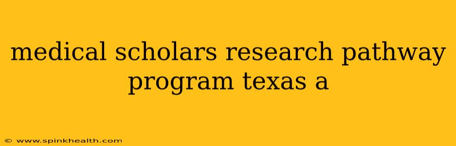 medical scholars research pathway program texas a