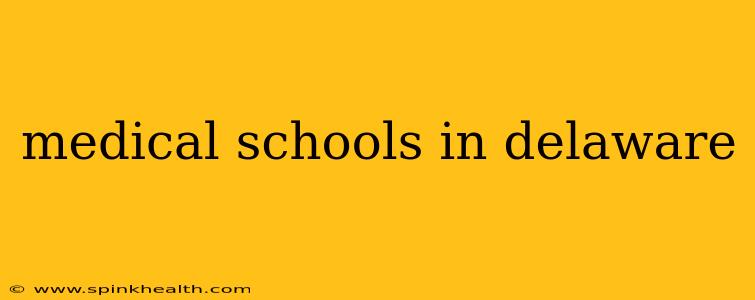 medical schools in delaware