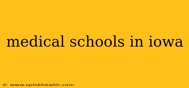 medical schools in iowa