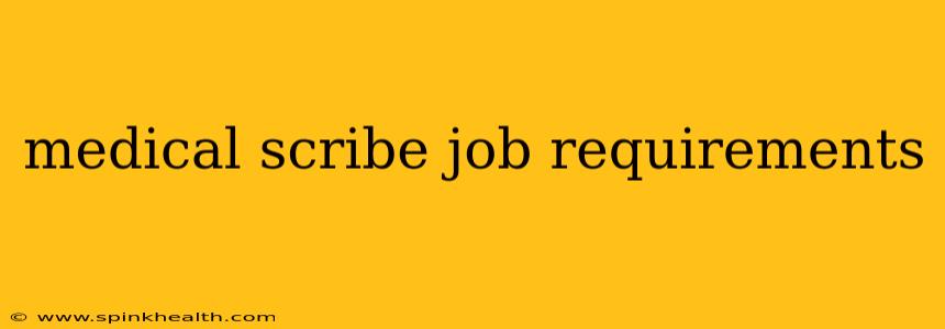 medical scribe job requirements