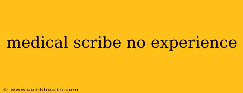 medical scribe no experience