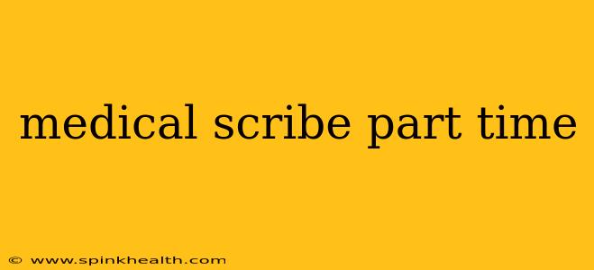 medical scribe part time