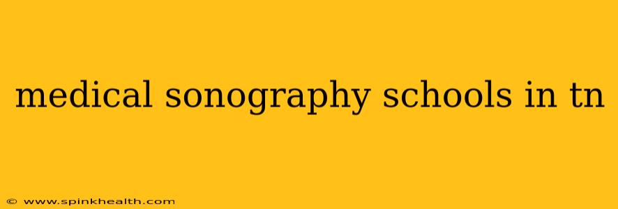 medical sonography schools in tn