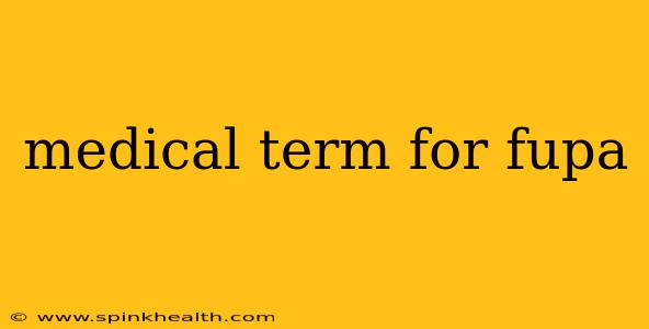medical term for fupa