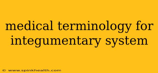 medical terminology for integumentary system