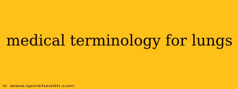 medical terminology for lungs